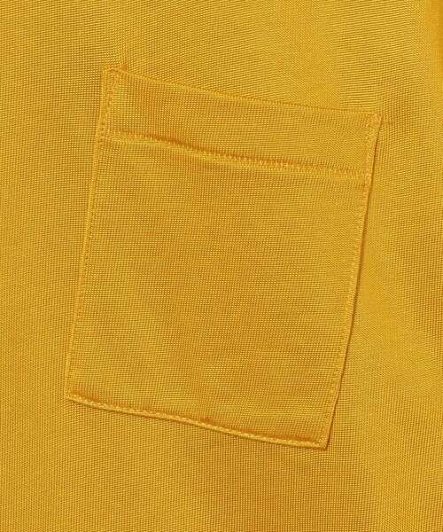Steven Alan（スティーブンアラン）の「＜MASON × Steven Alan＞ RYN SSL TEE/Tシャツ（Tシャツ/カットソー・メンズ・イエロー/ネイビー/ライトグレー・M/L）」の8枚目の写真