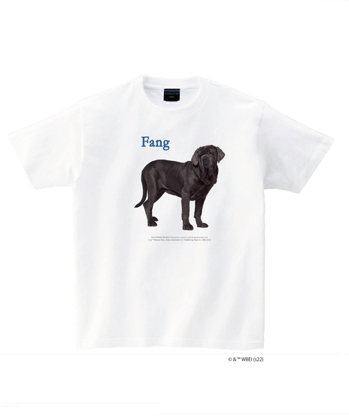 FD: キャラチョイ HARRYPOTTER ハリーポッター Tシャツ（Tシャツ