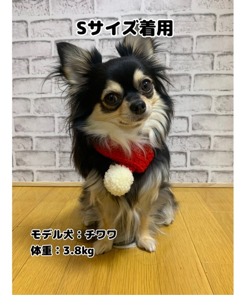tone(トーン)の「【MocoHouse】手編みのペット用マフラー/ 犬マフラー / ペット防寒(SU)(その他ペットグッズ・レディース・グリーン/ライトブルー/パープル/ライトグリーン/レッド/イエロー/ピンク/オレンジ/ブルー・SMALL/MEDIUM/LARGE/X-SMALL)」の10枚目の写真