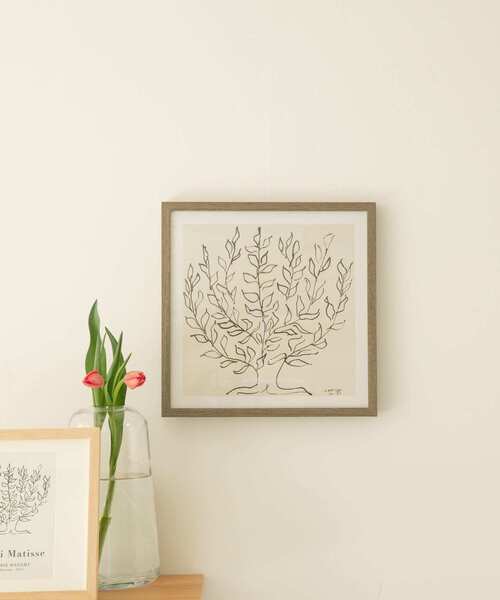 『WEB限定』BCS　Matisse/Le platane(S)