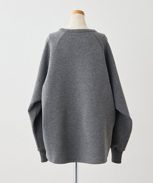 ear PAPILLONNER（イアパピヨネ）の「《手洗い可》sampo×earコラボ スペーストイスウェット（Tシャツ/カットソー・レディース・ブラック/グレー・FREE）」の12枚目の写真