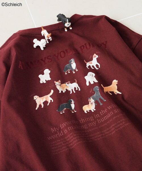 Green Parks(グリーンパークス)の「シュライヒコラボロゴTシャツ(Tシャツ/カットソー・レディース・チャコールグレー/ブラウン/オフホワイト・FREE)」の13枚目の写真