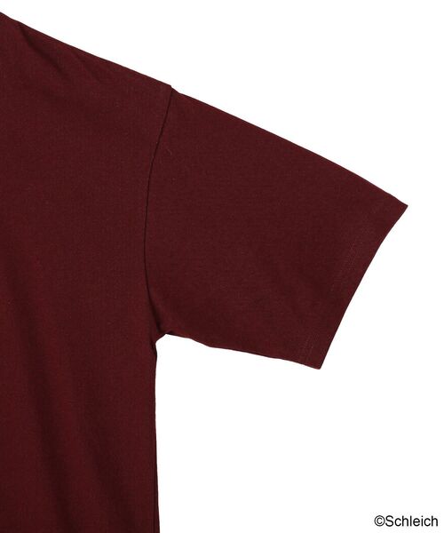 Green Parks(グリーンパークス)の「シュライヒコラボロゴTシャツ(Tシャツ/カットソー・レディース・チャコールグレー/ブラウン/オフホワイト・FREE)」の19枚目の写真