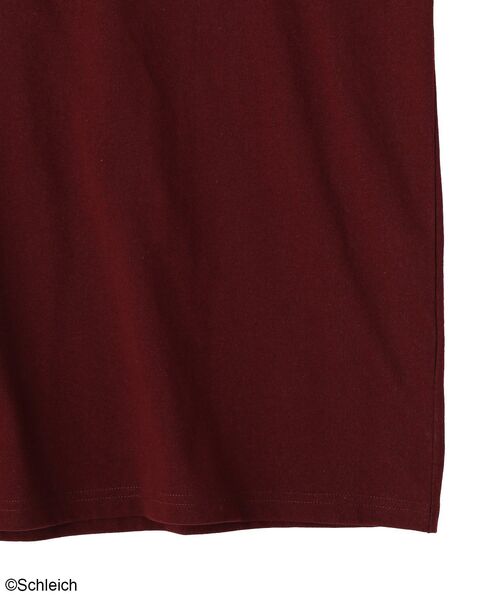 Green Parks(グリーンパークス)の「シュライヒコラボロゴTシャツ(Tシャツ/カットソー・レディース・チャコールグレー/ブラウン/オフホワイト・FREE)」の20枚目の写真