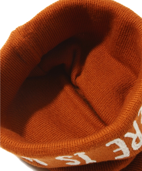 URBAN RESEARCH DOORS MENS（アーバンリサーチ ドアーズ メンズ）の「DOORS　"IN UNITY THERE IS STRENGTH” KNIT CAP（ニットキャップ/ビーニー・メンズ・ネイビー/ブラウン/レッド/ブラック・FREE）」の8枚目の写真