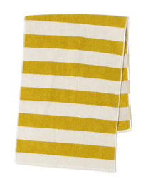 【HIPPOPOTAMUS×BIOTOP】スタンダードボーダー フェイスタオル