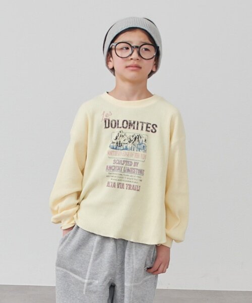 CIAOPANIC TYPY(チャオパニックティピー)の「【KIDS】デイリー使い最強!プチプラリブロゴロンTEE《ジュニアサイズあり》(Tシャツ/カットソー・キッズ・グレー/イエロー/パープル・110/130/150)」の18枚目の写真