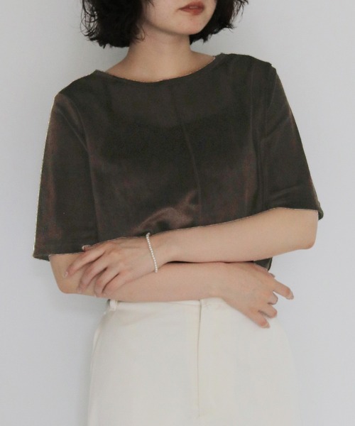cheriella（シェリエラ）の「【cheriella】シアーベロアトップス SHEER VELOUR TOPS（Tシャツ/カットソー・レディース・オフホワイト/グレー/ブラック/ブラウン・FREE）」の4枚目の写真