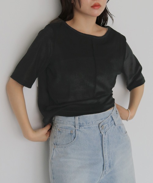 cheriella（シェリエラ）の「【cheriella】シアーベロアトップス SHEER VELOUR TOPS（Tシャツ/カットソー・レディース・オフホワイト/グレー/ブラック/ブラウン・FREE）」の2枚目の写真
