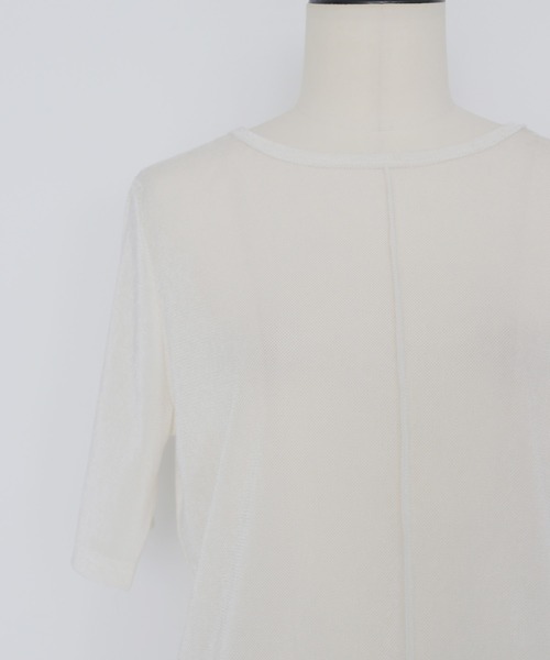cheriella（シェリエラ）の「【cheriella】シアーベロアトップス SHEER VELOUR TOPS（Tシャツ/カットソー・レディース・オフホワイト/グレー/ブラック/ブラウン・FREE）」の6枚目の写真
