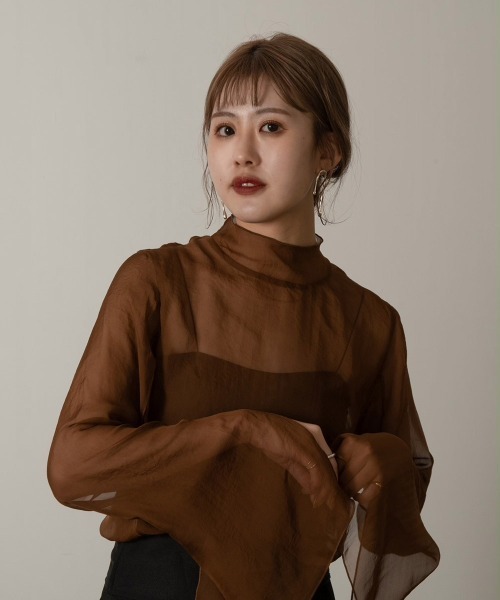トップス Sheer Slit Sleeve P/O Amiur（エミレ）の「sheer slit sleeve tops（その他トップス
