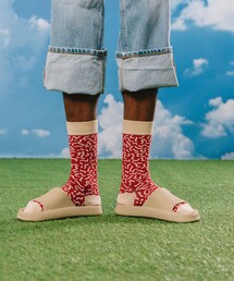 bpr BEAMS | EAT MY SOCKS / FOOD SOCKS 1P(ソックス/靴下)