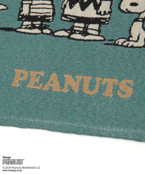 PEANUTS（ピーナッツ）の「【PEANUTS×BAYFLOW】タペストリーS☆2024X
