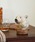 DULTONi_gj́uWOODEN ANIMAL HEAD/ؐ Aj}wbhiCeAG݁jvbP
