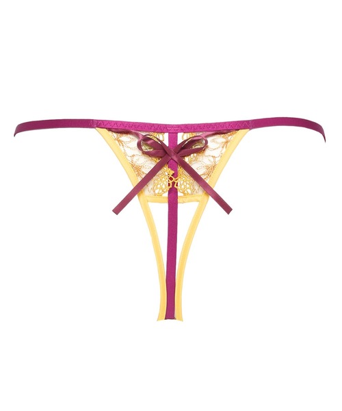 セール】アリュールマナー Tバック（ショーツ）｜LINGERIEAM