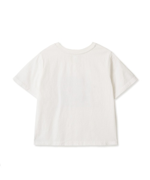 WEB LOGO CROP T-SHIRTS（Tシャツ/カットソー）｜aeae