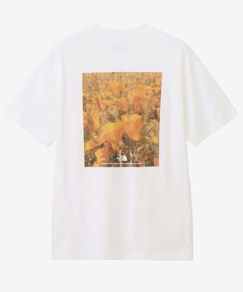 THE NORTH FACE(ザノースフェイス)の「THE NORTH FACE Short-Sleeve FDPixelPlantCottonTee(Tシャツ/カットソー・メンズ・グリーン/ホワイト/ブラック・MEDIUM/LARGE)」の6枚目の写真