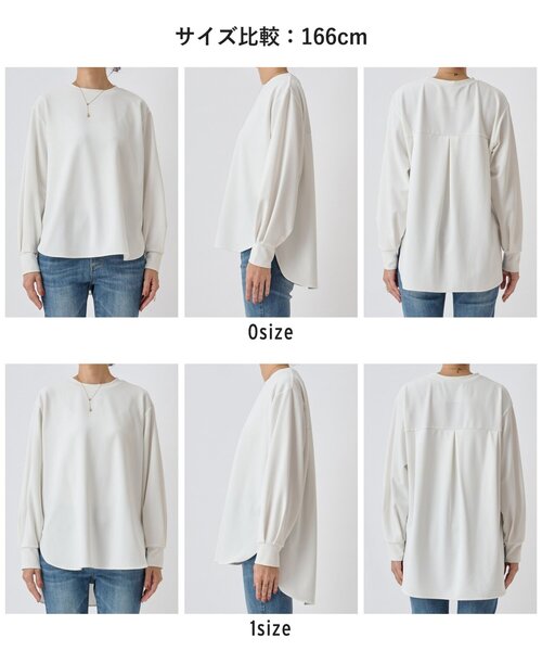 未使用・タグ付　BEARDSLEY　ビアズリー 　Tブラウス　人気 BEARDSLEY tシャツ Tブラウス「2サイズ展開」 レディース