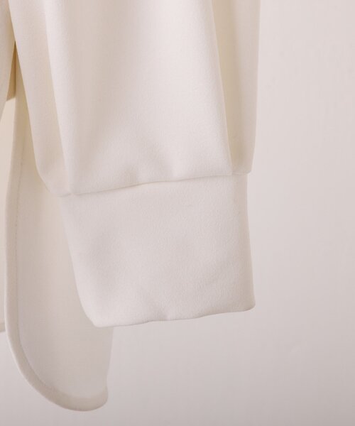 Tブラウス（シャツ/ブラウス）｜BEARDSLEY（ビアズリー）の