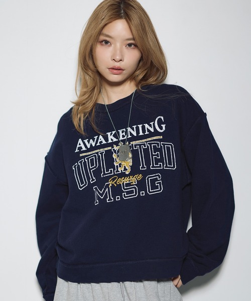 MSG(エムエスジー)の「ヘビーウェイト裏毛ヴィンテージライクリバーシブルプルオーバー【UNISEX】(スウェット・メンズ・ブラック系/ブラウン/ネイビー/レッド/ブラック/アッシュ・XL/L/M/S)」の1枚目の写真