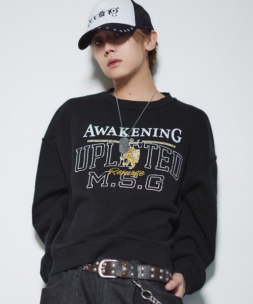 MSG(エムエスジー)の「ヘビーウェイト裏毛ヴィンテージライクリバーシブルプルオーバー【UNISEX】(スウェット・メンズ・ブラック系/ブラウン/ネイビー/レッド/ブラック/アッシュ・XL/L/M/S)」の2枚目の写真