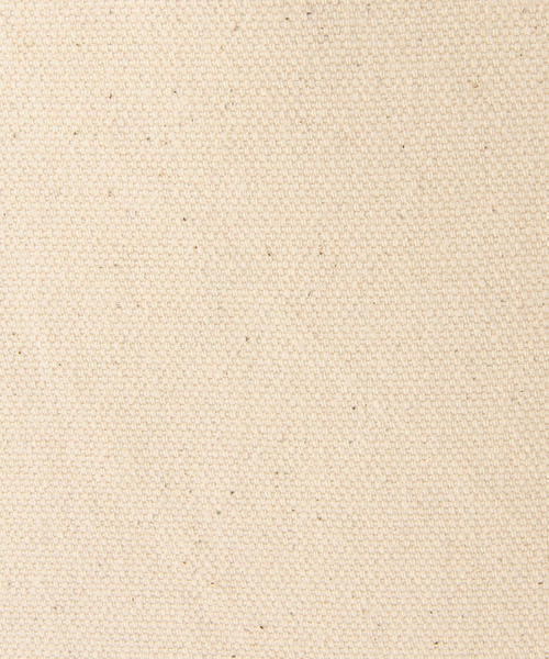 BEAMS BOY（ビームスボーイ）の「THE NORTH FACE / ORGANIC COTTON TOTE（トートバッグ・レディース・グリーン/ブルー・ONE SIZE）」の8枚目の写真