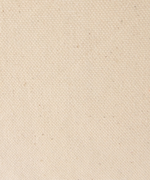 BEAMS BOY（ビームスボーイ）の「THE NORTH FACE / ORGANIC COTTON TOTE（トートバッグ・レディース・グリーン/ブルー・ONE SIZE）」の22枚目の写真