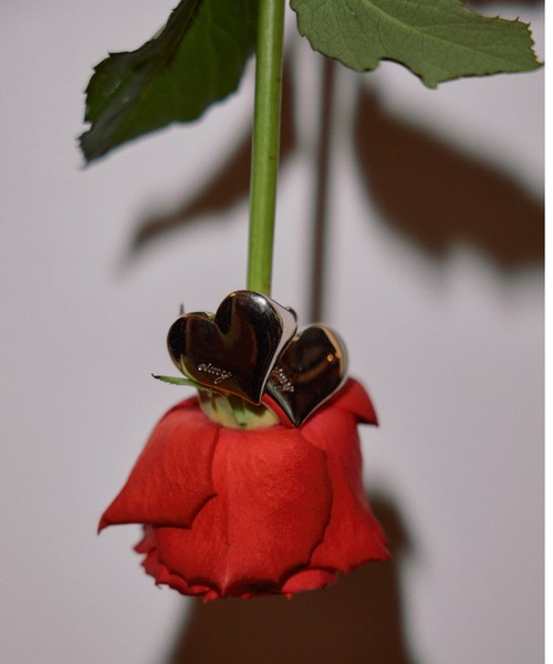 EIMY ISTOIRE（エイミーイストワール）の「Plump heartピアス（ピアス（両耳用）・レディース・シルバー/ゴールド・FREE）」の6枚目の写真