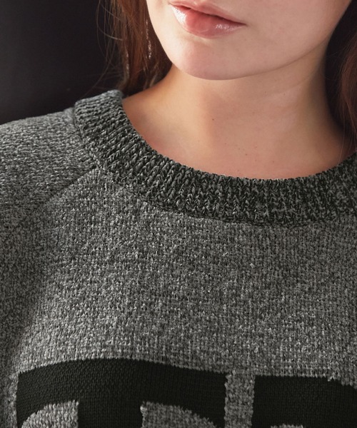 モールヤーン ジャガードロゴ 配色クルーネックニット / アンチ