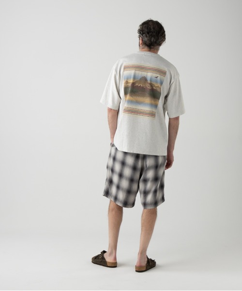PENDLETON(ペンドルトン)の「ツータック・ショーツ(その他パンツ・メンズ・レッド系その他/インディゴブルー/ローズ/グレー系その他・MEDIUM/SMALL/LARGE)」の6枚目の写真