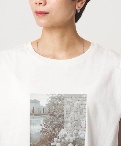 green label relaxing(グリーンレーベルリラクシング)の「フォトプリント フレンチスリーブ Tシャツ 接触冷感(Tシャツ/カットソー・レディース・その他1/その他2・FREE)」の21枚目の写真
