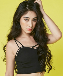 バインダービスチェ