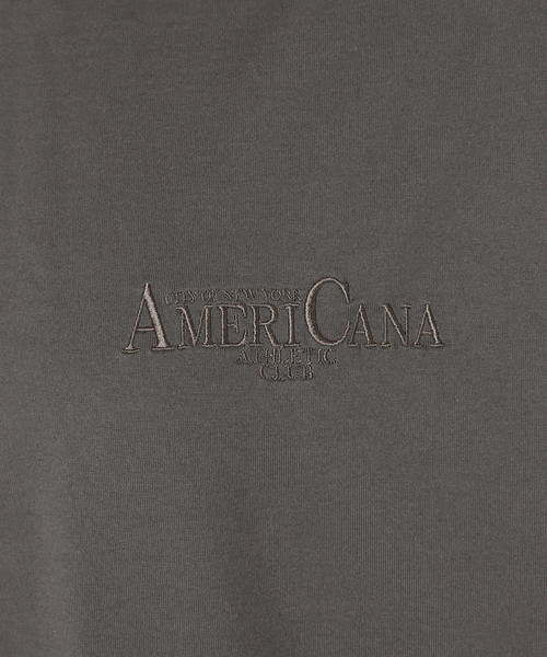 AMERICANA(アメリカーナ)の「【AMERICANA/アメリカーナ】別注 embroidery ワンピース(ワンピース・レディース・チャコールグレー・FREE)」の14枚目の写真