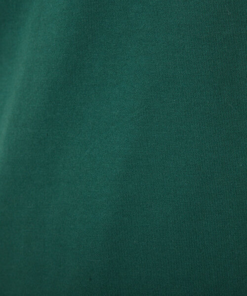 COLLAGE GALLARDAGALANTE(コラージュガリャルダガランテ)の「GULFCOAST SPORTSWEAR カレッジロゴT(Tシャツ/カットソー・レディース・グリーン・FREE)」の12枚目の写真