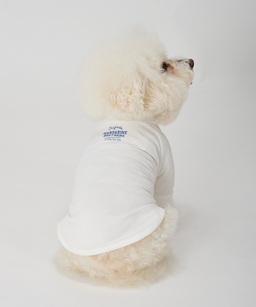 【cat】スーパーモデルボディ　ナチュラルスキン＆ホワイトスキン スキンタイトクールTシャツ/小型犬/M/MD/L（ペットウェア