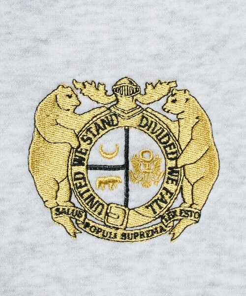 ASTRAET（アストラット）の「＜BLUESCENTRIC＞GRIZZLIES ハーフジッププルオーバー（スウェット・レディース・ライトグレー/その他9・M）」の6枚目の写真