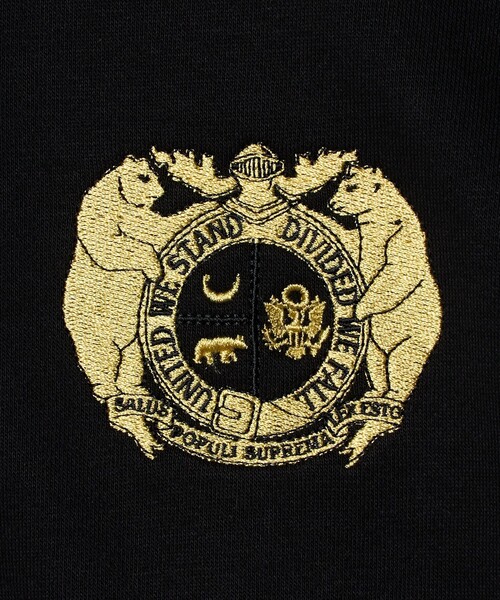 ASTRAET（アストラット）の「＜BLUESCENTRIC＞GRIZZLIES ハーフジッププルオーバー（スウェット・レディース・ライトグレー/その他9・M）」の11枚目の写真