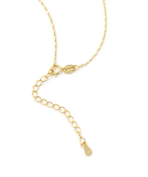 colleca la（コレカラ）の「[silver925]ベーシックチェーンスキンネックレス〈金属アレルギー対応〉（ネックレス・レディース・ゴールド/シルバー・FREE）」の9枚目の写真