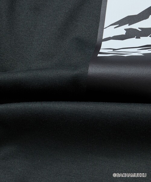 Columbia(コロンビア)の「限定展開 ガチャピン・ムック×Columbia×FREAK'S STORE 別注 インペリアルパーク マウンテンモチーフ バックプリント Tシャツ(Tシャツ/カットソー・メンズ・ホワイト/ブラック/ベージュ/チャコールグレー・X-LARGE/LARGE/MEDIUM/SMALL)」の20枚目の写真