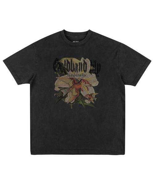 NAVYTEAM(ネイビーチーム)の「ゴールドバンドリリー ピグメント半袖Tシャツ(4カラー)(Tシャツ/カットソー・レディース・バーガンディー/ブルー/チャコールグレー/ブラウン・SMALL/X-LARGE/LARGE/MEDIUM)」の1枚目の写真