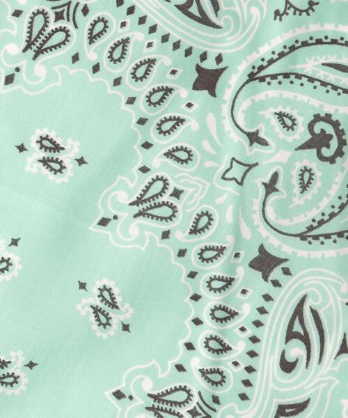 green label relaxing(グリーンレーベルリラクシング)の「【別注】<常陸野ネストビール×ROSTER BEAR×GLR>HAV-A-HANK バンダナ(バンダナ/スカーフ・レディース・ライム/イエロー・FREE)」の6枚目の写真