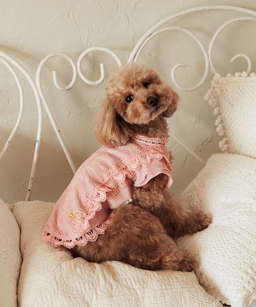 セール】【DOG】レースブラウス（ペットウェア）｜ROPE' PICNIC（ロペ