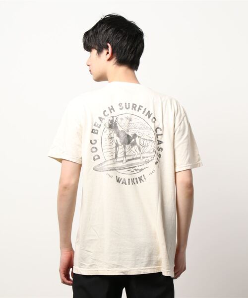 MALIBU SHIRTS（マリブシャツ）の「【MALIBU SHIRTS】（UN）MALIBU T-SHIRT（Tシャツ/カットソー・メンズ・A/B/C/D/E/F/G/H・MEDIUM/X-LARGE/LARGE）」の12枚目の写真