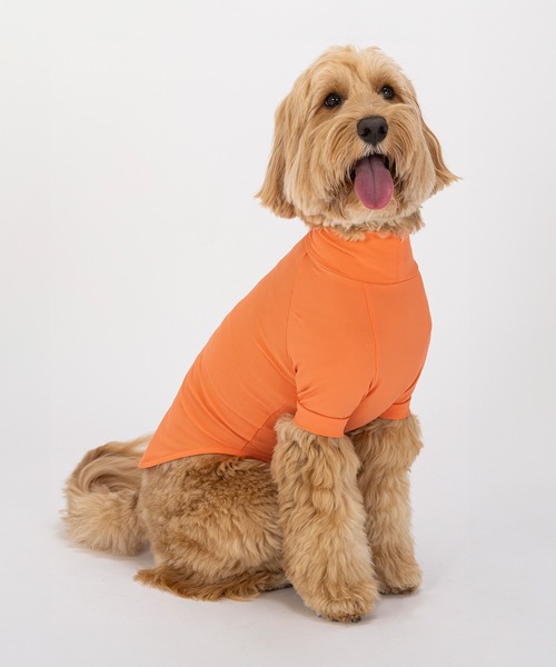 スキンタイトクールTシャツ/小型犬・中型犬/XL/XLB/XXL（ペット