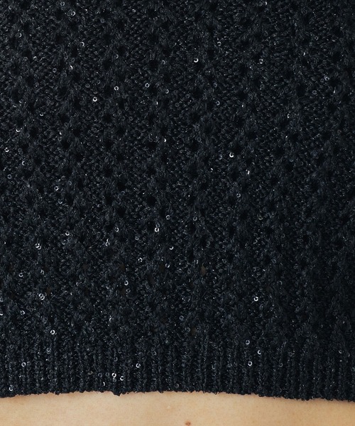 ROSE BUD（ローズバッド）の「(CREOLME)LAME KNIT BUSTIER（その他トップス・レディース・ブラック/ベージュ・ONE SIZE）」の9枚目の写真