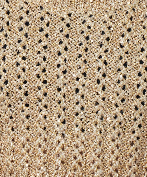 ROSE BUD（ローズバッド）の「(CREOLME)LAME KNIT BUSTIER（その他トップス・レディース・ブラック/ベージュ・ONE SIZE）」の15枚目の写真