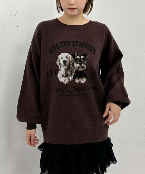 archives(アルシーヴ)の「【大人気ニット再入荷!/新色追加】イヌJQミドルニットプルオーバー(ニット/セーター・レディース・ブラック/グレー/ブラウン/アイボリー・MEDIUM)」の4枚目の写真