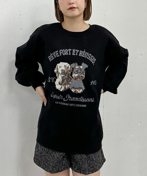 archives(アルシーヴ)の「【大人気ニット再入荷!/新色追加】イヌJQミドルニットプルオーバー(ニット/セーター・レディース・ブラック/グレー/ブラウン/アイボリー・MEDIUM)」の1枚目の写真