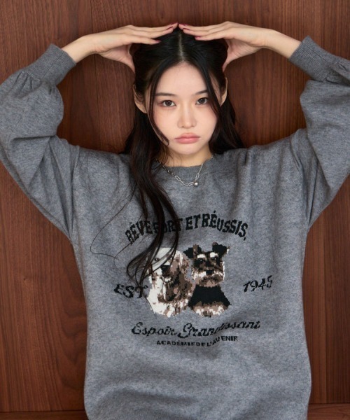 archives(アルシーヴ)の「【大人気ニット再入荷!/新色追加】イヌJQミドルニットプルオーバー(ニット/セーター・レディース・ブラック/グレー/ブラウン/アイボリー・MEDIUM)」の17枚目の写真