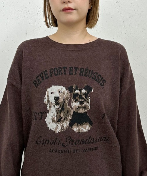 archives(アルシーヴ)の「【大人気ニット再入荷!/新色追加】イヌJQミドルニットプルオーバー(ニット/セーター・レディース・ブラック/グレー/ブラウン/アイボリー・MEDIUM)」の12枚目の写真